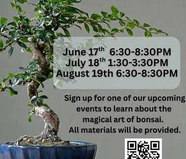 Bonsai Bar