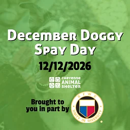 December Doggy Spay Day