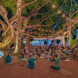 Twilight Yoga