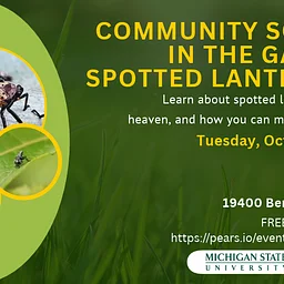 Community Science in the Garden: Spotted Lanternfly