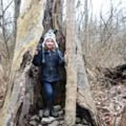Little Critters Camp