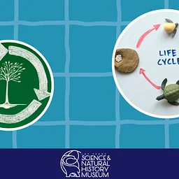 Early Explorers: Cycle of Life Storytime