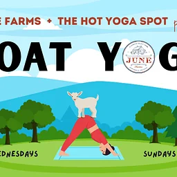 Goat Yoga