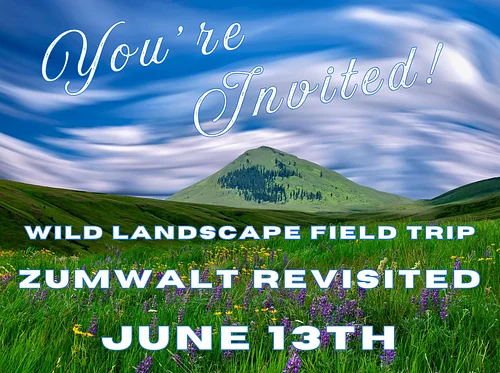 Field Trip: Wild Landscape – Zumwalt Revisited