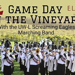 Gameday in the Vineyard