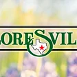 City of Floresville