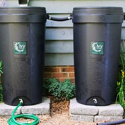 Rain Barrel & Water Harvesting Webinar