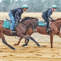Mason Springs Training Center Tour