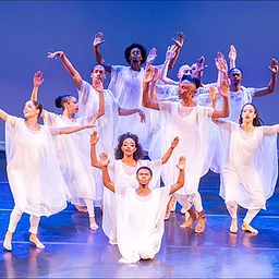 Dallas Black Dance Theatre (Platinum)
