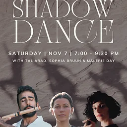 Shadow Dance
