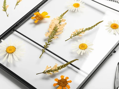 Pressed Flower Floating Frames