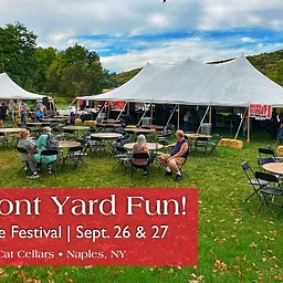 Hazlitt Front Yard Fun @ Naples Grape Fest