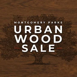 Urban Wood Sale