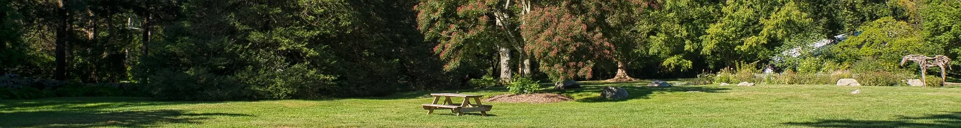 Bartlett Arboretum 