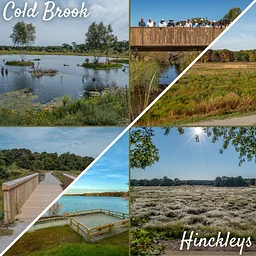 Eco-Restoration Tour
