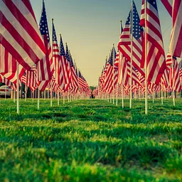 SCHOOLS CLOSED: Memorial Day