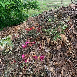 Composting Series: Compost and the Environment