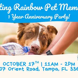 Resting Rainbow 1 Year Anniversary Party