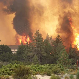 S-290 Course: Intermediate Wildland Fire Behavior – North Net Fire Training Center, Anaheim – November 2026