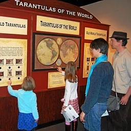 Animals for All: Tarantula Exhibition Sensory Friendly Evenings