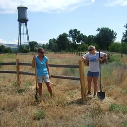 Volunteering at Fort Missoula Native Plant Garden