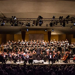 Festival Orchestra 4