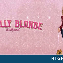 Legally Blonde The Musical