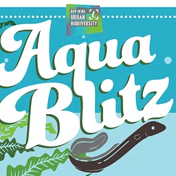 AquaBlitz 2026