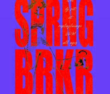 SPRNGBRKR // DJ SET // 10PM
