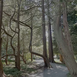Discover Blithewold Differently: A Mindful Outdoor Experience