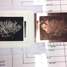 Copperplate Photogravure