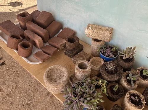 Research Spotlight: Building with Fungi