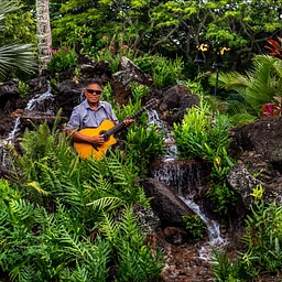 Live Entertainment: Chico Edralin