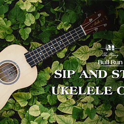 Sip & Strum Ukulele Class