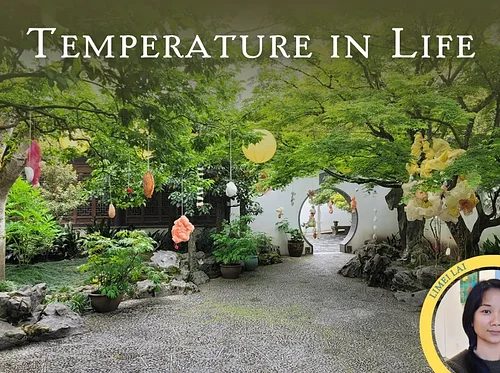 Limei Lai Art Show: Temperature in Life