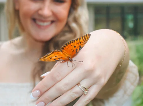 Butterfly Releases