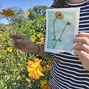 Botanical Illustration Workshop