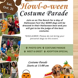 Halloween Costume Parade