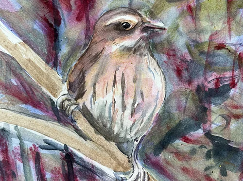 Drawing and Painting Birds with Chris Selin