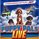 Puppy Pals Live – The Action-Packed Comedic Stunt Dog Show