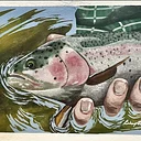 The Summer Fish Tour: an art exhibit