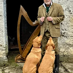 Patrick Ball: Celtic Harp & Story