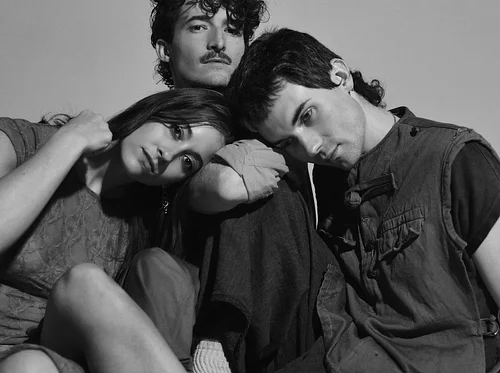 The Alpine: Nation of Language, Peel Dream Magazine