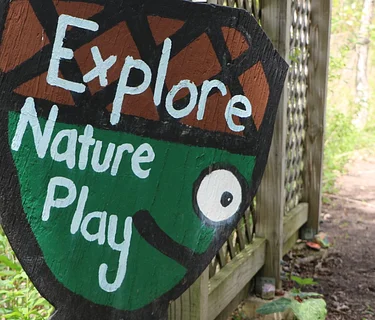 Let’s Play! Forest Exploration Day