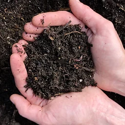 Hot Composting