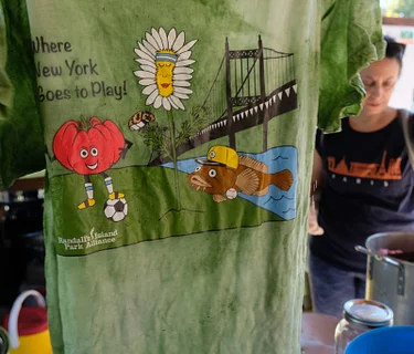 Natural Dyeing Workshop