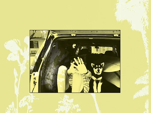 SECOND NIGHT ADDED! Throwing Muses // Moonlight Concessions Tour with special guest DJ Jake Rudh