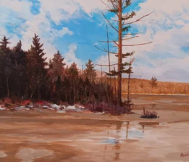 Art Exhibit Opening Reception: Phil Poirier, “A Retrospective, Interrupted”
