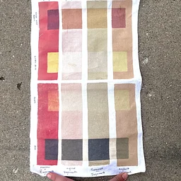 Screenprinting with Natural Dyes & Modifiers on Fabric