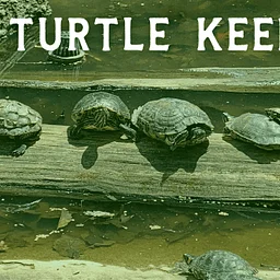 Turtle Keeper Talk